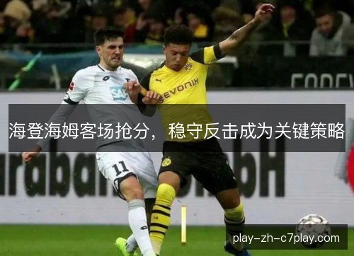 海登海姆客场抢分,稳守反击成为关键策略 海登海姆客场抢分,稳守反击成为关键策略